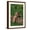 Brown Frame, variant on Art.com Bengal Tiger Cub Sleeping on Fallen Tree Photographic Print by DLILLC, 12" x 18"