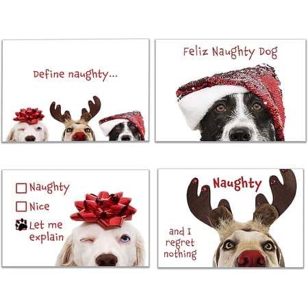 Funny Dog Christmas Cards Boxed with Envelopes, Variety Pack includes 4 ...