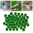 thumbnail image 2 of ruzhgo 100Pcs 2022 Aluminium Dove Racing Pigeon Foot Rings Bands 8mm Grass Green, 2 of 8