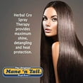 thumbnail image 3 of Mane 'n Tail Herbal Gro Olive Oil Complex Spray Therapy 6 Fl Oz Pump, 3 of 6