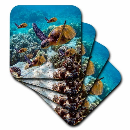- 3dRose Sea Turtles - Ceramic Tile Coasters, set of 4