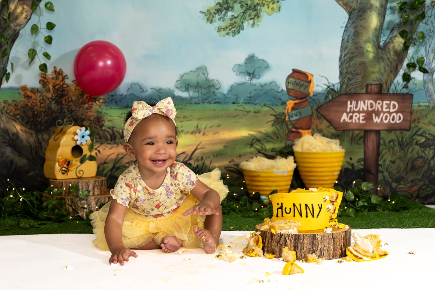 Winnie the Pooh Baby Girl Tutu Set, 2-Piece, Sizes 0-24 Months