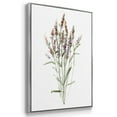 thumbnail image 2 of Dainty Botanical I - Framed Premium Gallery Wrapped Canvas L Frame 3 Piece Set - Ready to Hang, 2 of 4