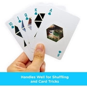 Pink Floyd Playing Cards