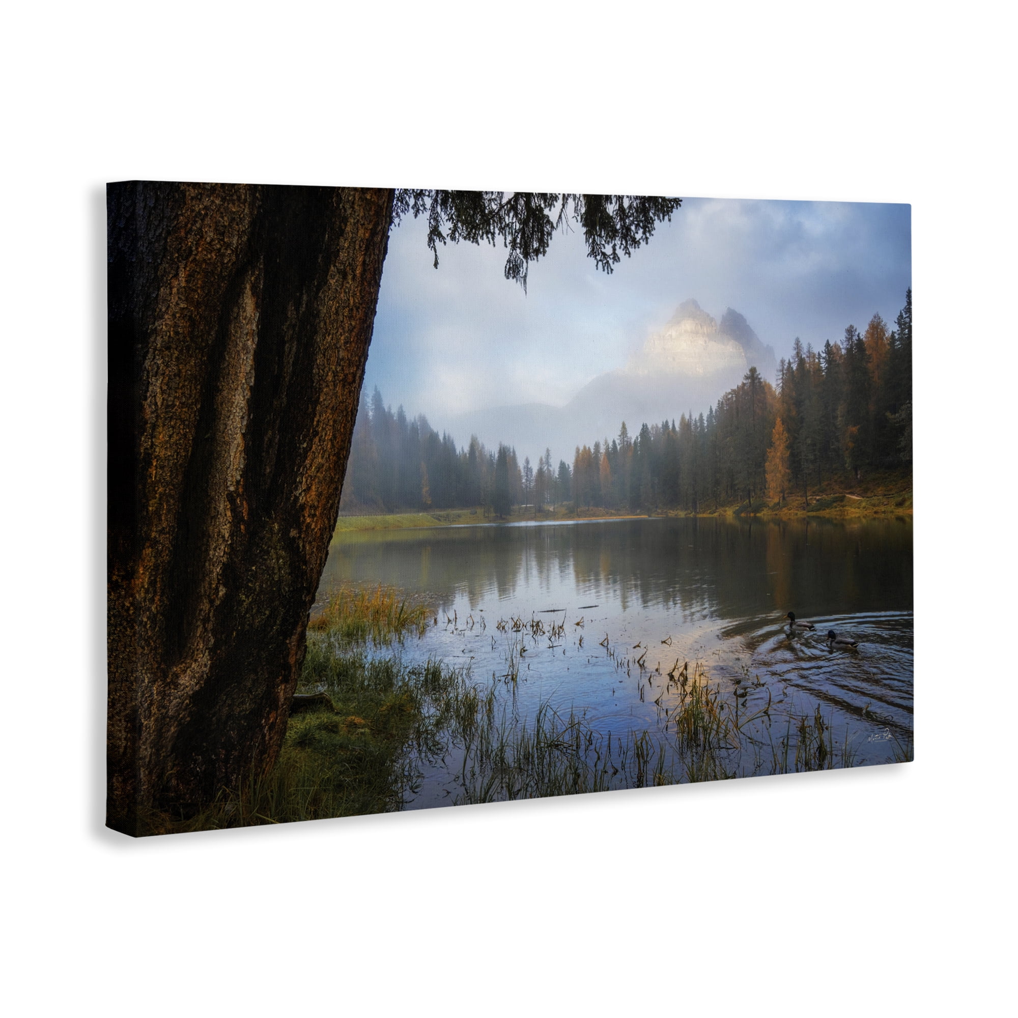 Stupell Industries Autumn Forest Reflections Canvas Wall Art, design by Martin Podt