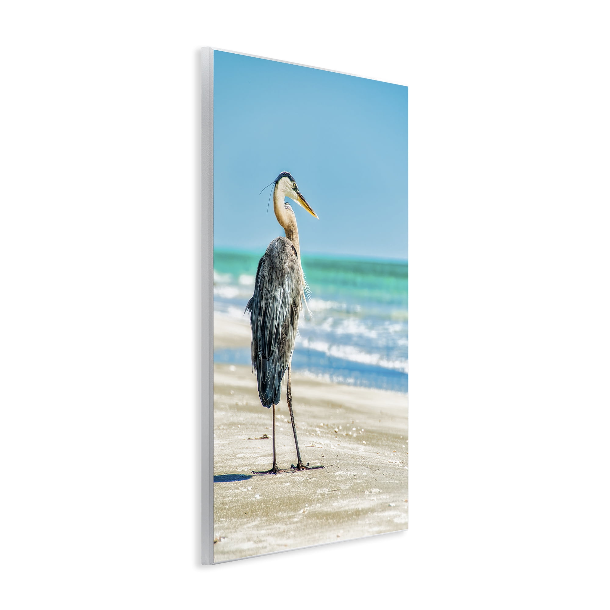 Stupell Industries Reflective Beach Bird Nautical & Beach Photography Unframed Art Print Wall Art, 13 x 19