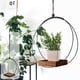 thumbnail image 1 of Macetero colgante de madera con soporte de cuerda de algodón, estilo europeo moderno, apto para plantas pequeñas y decoración, 30 cm de diámetro., 1 of 6