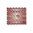 thumbnail image 2 of Coupeur Multiple d'Os pour Chien (1 Pouces x 28 Os), 2 of 10
