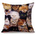thumbnail image 4 of simhoa Animal Pattern Pillow Replacement Case Cover for Sofa Car Bed Accessory Cat Cat 60x60cm, 4 of 8