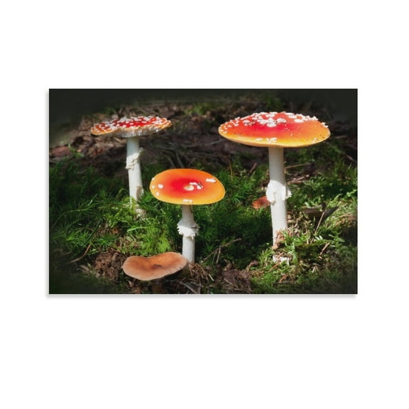 Toadstools Amanita Muscaria Canvas Art Poster And Wall Art Picture Print Modern Family Bedroom Decor Posters,Unframe-style,16x24inch(40x60cm)