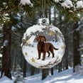 thumbnail image 4 of 12 Styles Dog Christmas Ornaments Set, 2D Acrylic Shatterproof Dog Theme Decor for Christmas Tree & Dog Lovers (B), 4 of 4