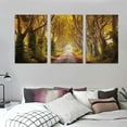 thumbnail image 3 of JRXY  Framed Canvas Wall Art The Dark Hedges in Northern Ireland at Sunset Photo Print Poster Large Size Stretched &amp; Framed Artwork Home Decor Ready to Hang 12''x16''X3 Panels 12x16x3pcs, 3 of 4