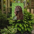 thumbnail image 2 of Carolines Treasures SC9574-FLAG-PARENT Boykin Spaniel St Patricks Irish Flag  multicolor, 2 of 3
