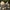 White, variant on Openpig LED Rose Flower String Lights, Lights for Bedroom 20 LED Battery Operated Flower Garland Light String Indoor Outdoor for Valentine's Day Birthday Party