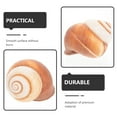 Qiysamall 5Pcs Natural Snail Shells for Escargot Restaurant Escargot