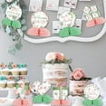 thumbnail image 2 of Sage Green and Pink Baby Shower Decorations for Girl - 8pcs Floral Honeycomb Centerpieces, Blush Pink Floral Baby Shower Table Decor, Greenery Botanical Its a Girl Party Decorations, 2 of 6