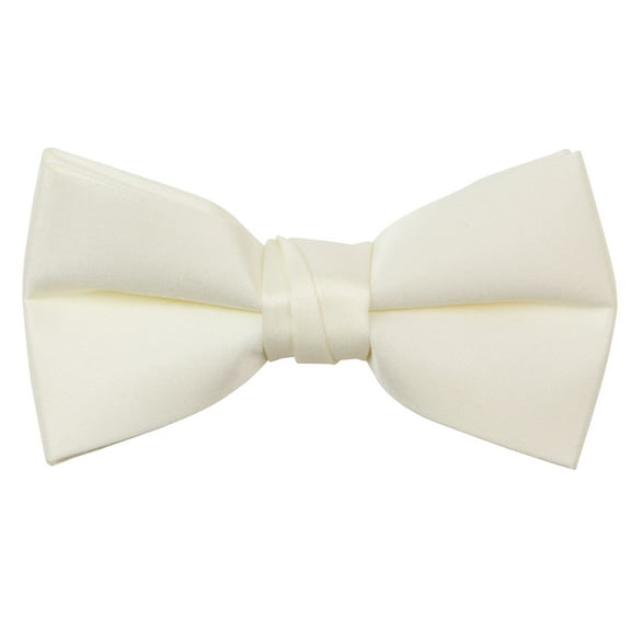 Spring Notion Boys' Pre-tied Banded Satin Bow Tie