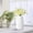 Beige（15PC）, variant on 15Pcs Artificial Calla Lily Flowers Flowers Real Touch for Wedding Bouquet Office Home Kitchen Decor,Black