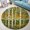 Birch Grove, variant on Circle Area Rug, Birch Grove Washable Non-Slip Floor Carpet, Soft Rug for Living Room Bedroom Decor 24 Inch