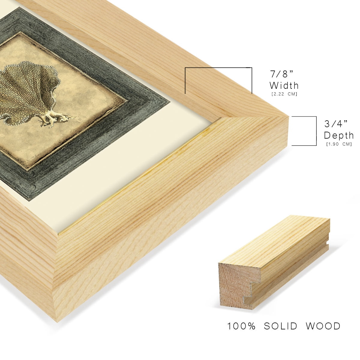 Mini Exotic Coral VI (U) - Framed Print w/glass - Natural Wood