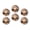 C0740, variant on Glass Refrigerator Magnet 6Pcs Magnetic Fridge Sticker,Decor for Kitchen,Whiteboard,Cabinet,Piglets With Curious Eyes And Flower Backdrop