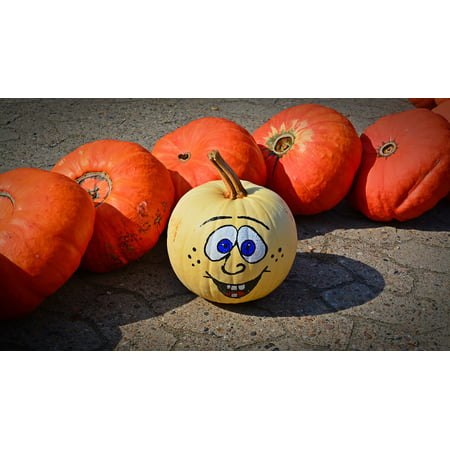 Framed Art for Your Wall Sale Pumpkin Painted Harvest Time Decoration Funny 10x13 (Best Funny Photos Of All Time)