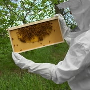 Honey Keeper Beekeeping Gloves, Medium - Goatskin Leather with Canvas Sleeve and Elastic Cuff