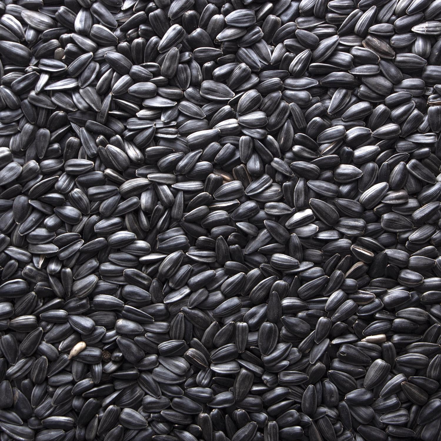 Meadow Ridge Farms B200040 Wild Bird Food, Black Sunflower, 40 Lbs. - Quantity 1