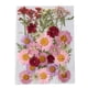 thumbnail image 1 of Flores secas naturales plantas hechas a mano de hojas de arte de hojas bien conservadas decoración flores prensadas decorativas para maquillaje facial tipo 2 Yuarrent HA010801-02, 1 of 7
