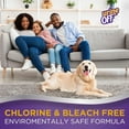 Urine Off Dog & Puppy Formula W/Carpet Applicator Cap 32oz