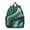 Teal Gold Marble-2, variant on Teal Gold Marble Backpack Backpack for School,Cute School Bag,Schoolbag with Adjustable Shoulder Straps & Padded Back,13.8"x11.4"x6"