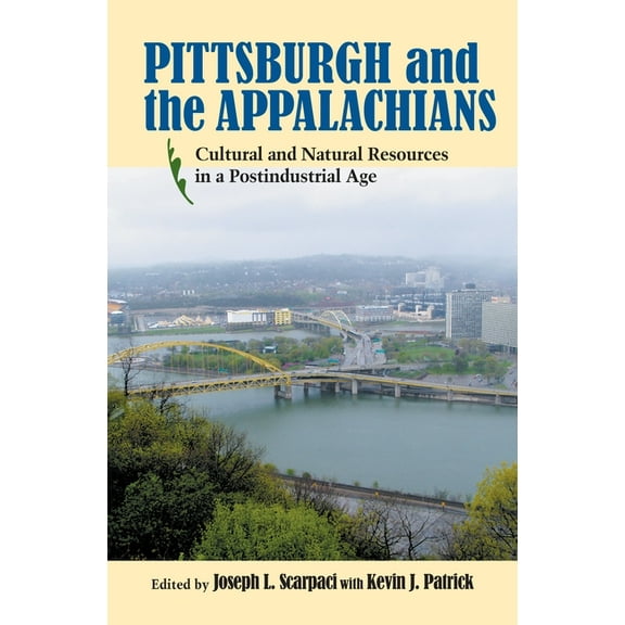 Regional Pittsburgh and the Appalachians: Cultural and Natural Resources in a Postindustrial Age, (Hardcover)