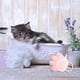 thumbnail image 5 of Cepillo de baño suave para mascotas, con dispensador de champú, peine y ducha 2 en 1 Rosado, 5 of 7