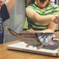 thumbnail image 1 of Jouets d'Animaux Marins Poisson Dunkleosteus pour Fête, 1 of 8