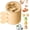C, variant on Flower-Shaped Silicone Ice Cream Mold, Reusable Popsicle Maker with Lid, Stackable Reusable Ice Cream Maker Cups,Easy Release Ice Pop Molds, for Homemade Ice Cream, DIY Treats (A, Cherry blossoms)