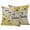 Brown, variant on Summer Floral Outdoor Pillow Covers 18"x18" Set of 2, You Are My Sunshine Watercolor Sunflower Leaf Bee Waterproof Throw Pillow Covers for Patio Furniture, Decorative Cushion Covers for Porch