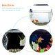 thumbnail image 2 of unbranded 3Ud Soporte Para Acuáticas En Acuario Con Material Acrílico Y Ventosa, 2 of 8