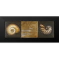 thumbnail image 2 of Pinto, Patricia 14x7 Black Modern Framed Museum Art Print Titled - Seashells I, 2 of 5