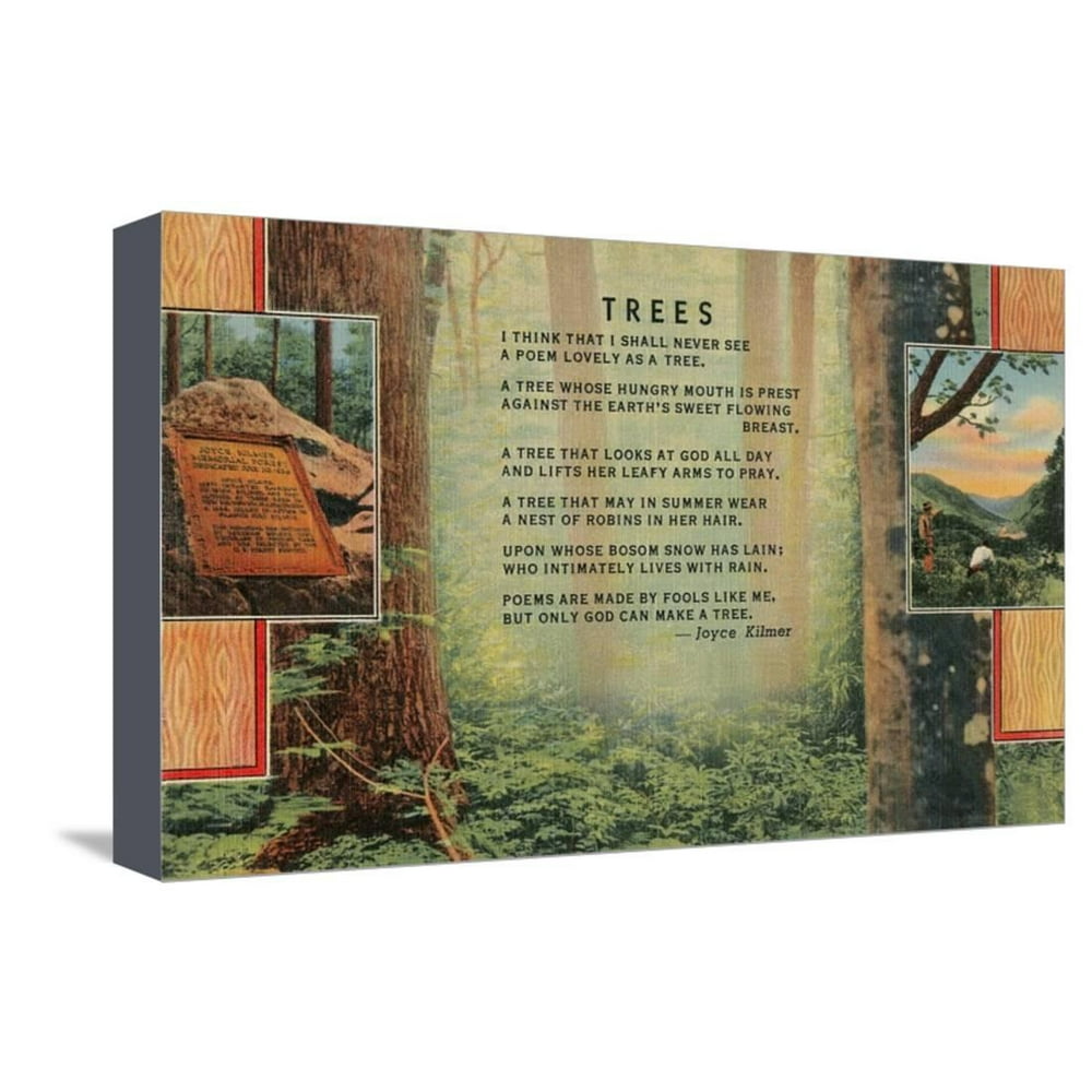 Joyce Kilmer Trees Poem, Forest Stretched Canvas Print Wall Art