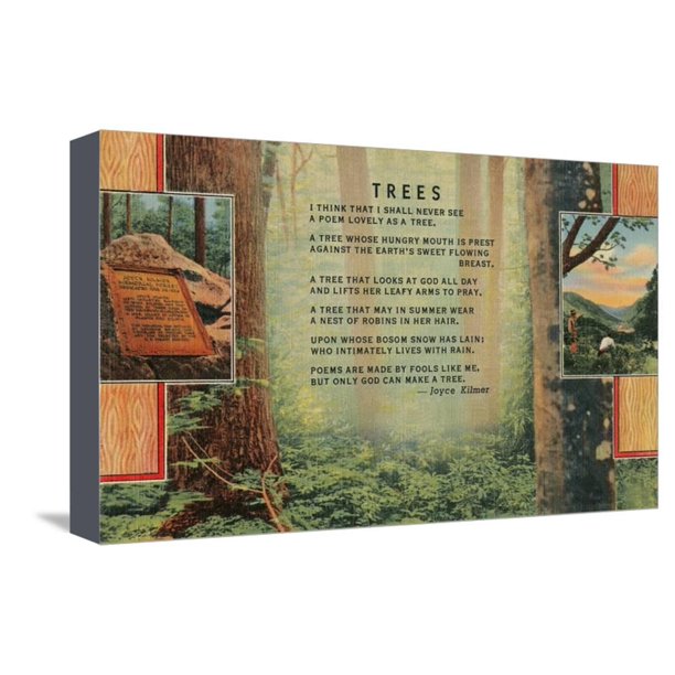 Joyce Kilmer Trees Poem, Forest Stretched Canvas Print Wall Art
