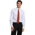 thumbnail image 2 of GRYFFINDOR TIE ADULT, 2 of 5