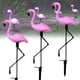 thumbnail image 1 of Luces Solares Para Exteriores ANGGREK Impermeables Flamencos Lámparas LED de Estaca, 1 of 8
