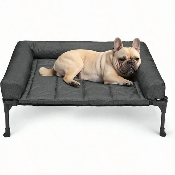 Cooling Elevated Dog Bed Add Removable Waterproof Bolster Cushion Mat Raised Pet Cot with Breathable Teslin Mesh NoSlip Feet Dog Sofa Bed for Indoor Outdoor Medium Black CWC2331B