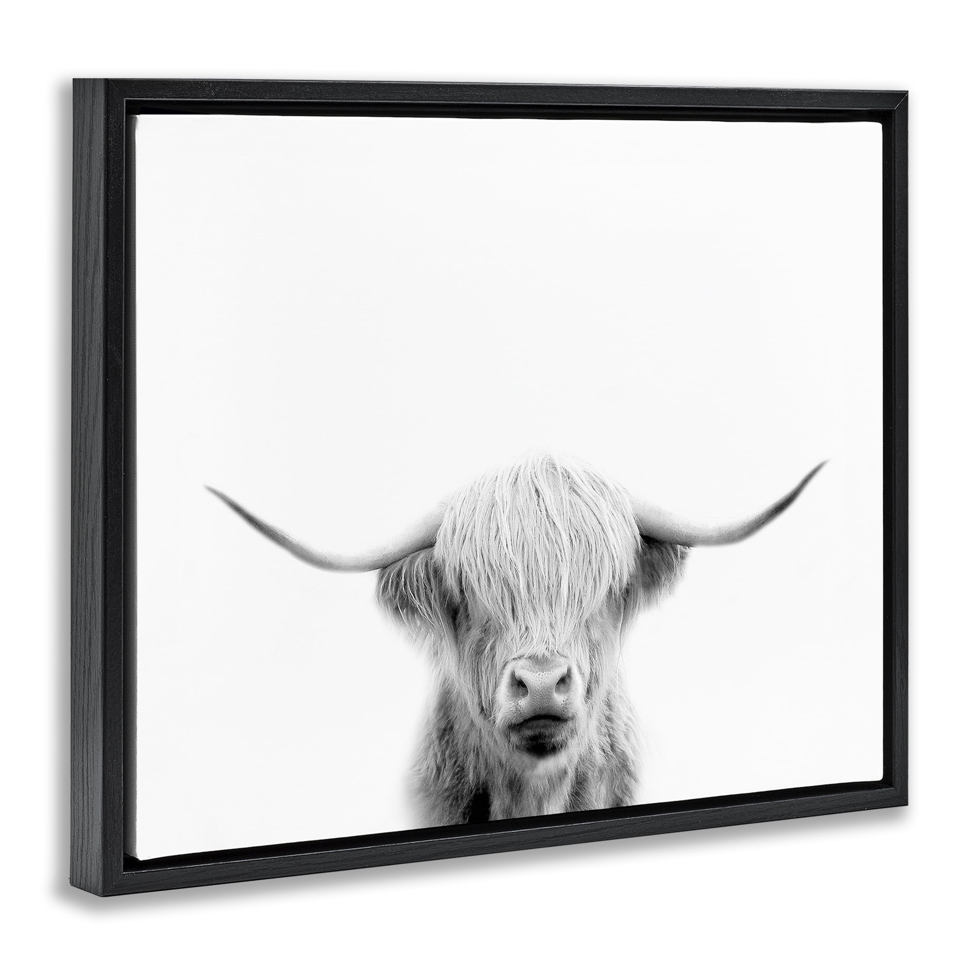 Stupell Industries Scottish Cow Portrait Black Framed Floater Canvas Wall Art, design by Leah Straatsma