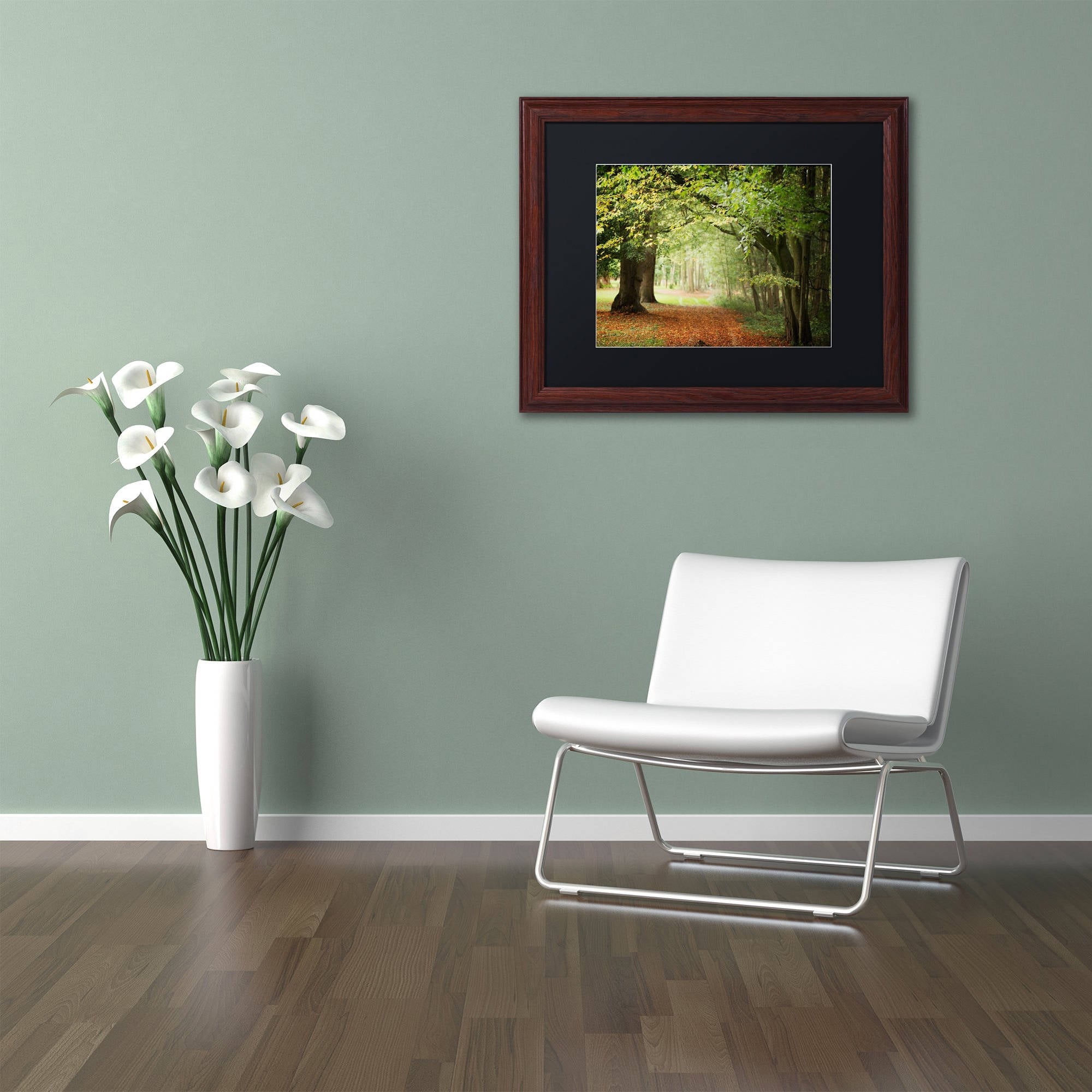Trademark Fine Art "Through the Woods" Canvas Art by Philippe Sainte-Laudy Black Matte, Wood Frame