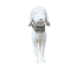 thumbnail image 2 of Collar con moño Infanti Pets gris extragrande, 2 of 5