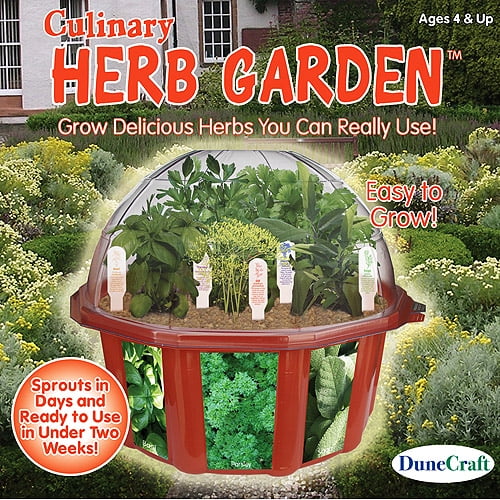 DuneCraft Culinary Herb Garden Kit