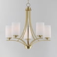 thumbnail image 5 of 20035SWSBR Maxim Lighting Deven - 5 Light Chandelier In Modern Style-23 Inches Tall and 24 Inches Wide-Satin Brass Finish    -Traditional Installation, 5 of 5