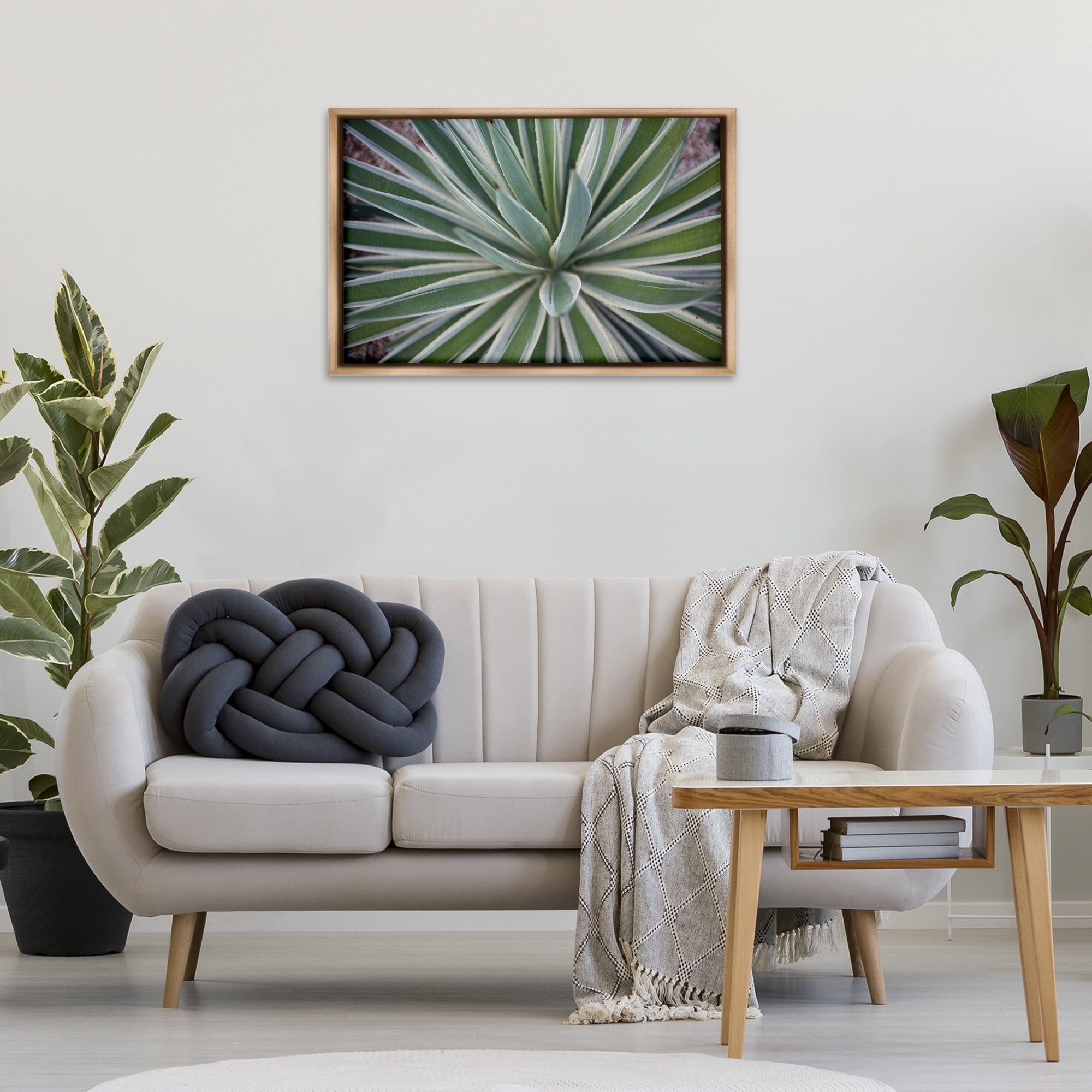 Stupell Industries Centric Succulent Leaves Botanical & Floral Photography Brown Floater Framed Canvas Art Print Wall Art, 31 x 21
