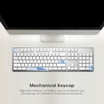 thumbnail image 3 of PBT Keycap, Keyboard Cap, High Color Fastness for Mechanical Keyboard Dolphin Pattern, 4Pcs, 3 of 7